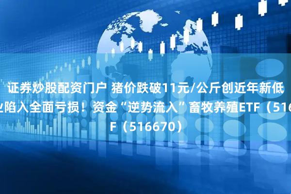 证券炒股配资门户 猪价跌破11元/公斤创近年新低，行业陷入全面亏损！资金“逆势流入”畜牧养殖ETF（516670）