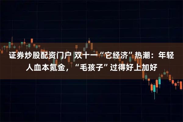 证券炒股配资门户 双十一“它经济”热潮：年轻人血本氪金，“毛孩子”过得好上加好